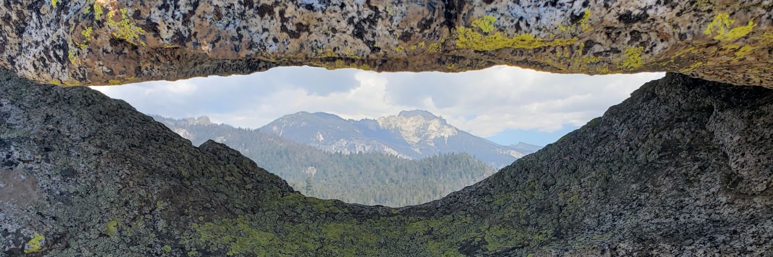ndiller29's profile banner image