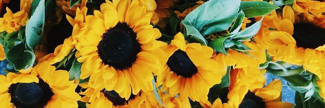 Beccalicious101's profile banner image