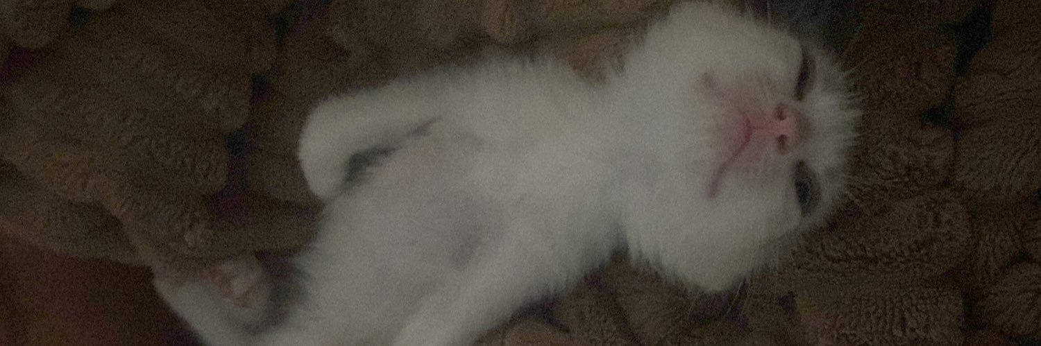 bbunnyteeth's profile banner image