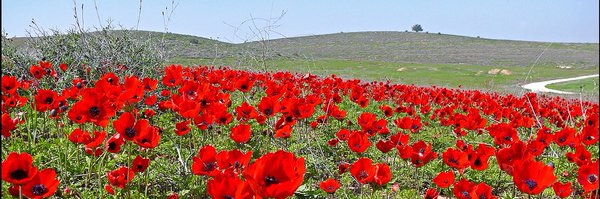 maw_tweets Profile Banner