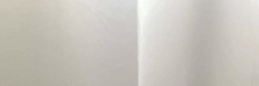 __ms81's profile banner image