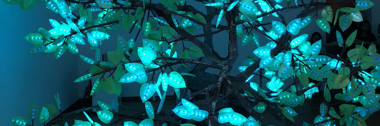 hfbean47's profile banner image