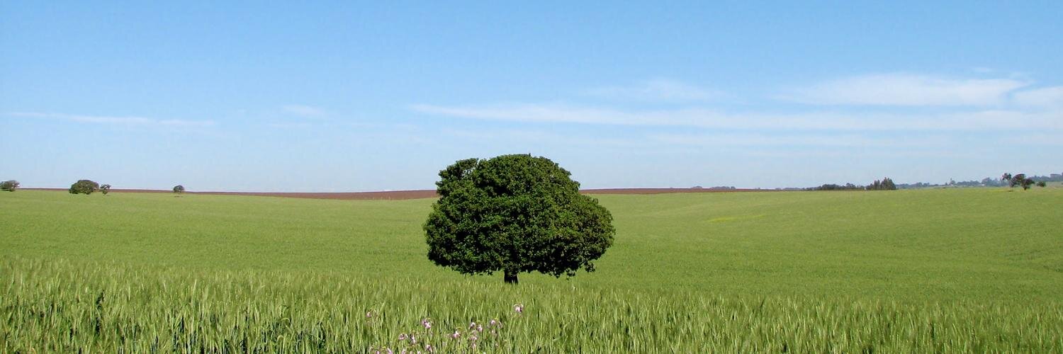 JavierEscobar's profile banner image