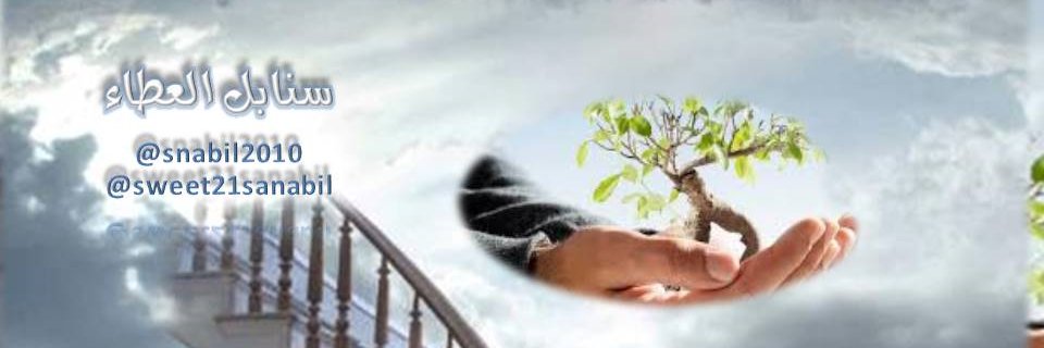 snabil2010's profile banner image