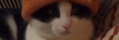 Матнео banner