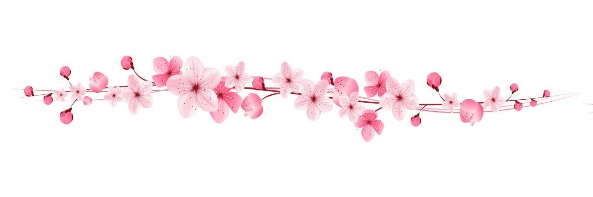 durrh0's profile banner image