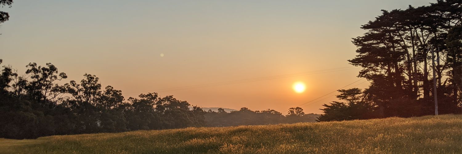 SilverBirchSam's profile banner image