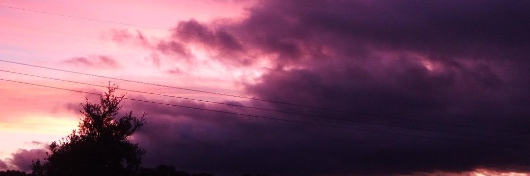 Irene Coma 🌺 banner