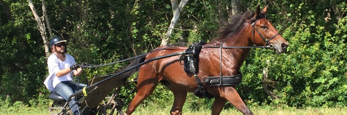 Marcus Brandt banner