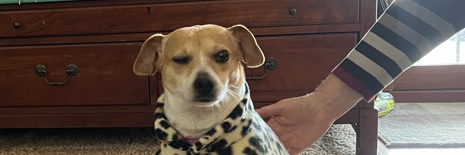 Stitcher414's profile banner image