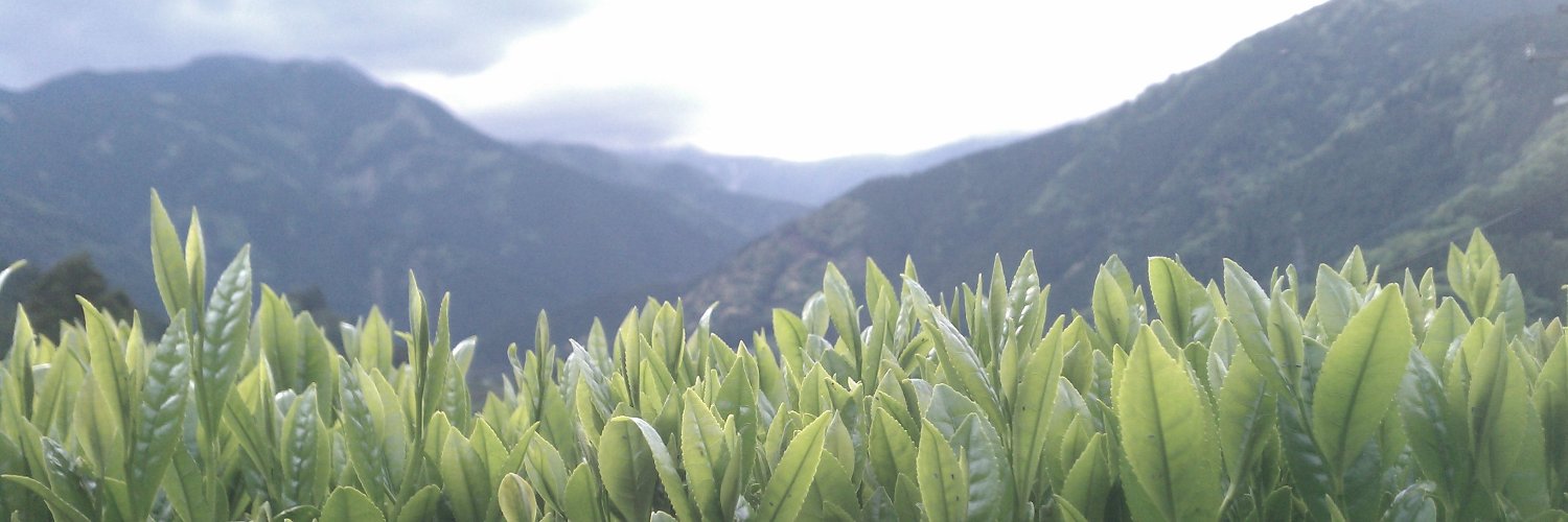 villa_verte's profile banner image