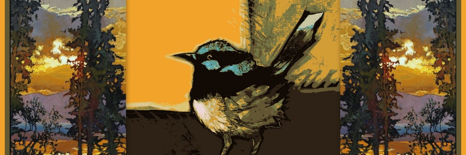jstines3's profile banner image