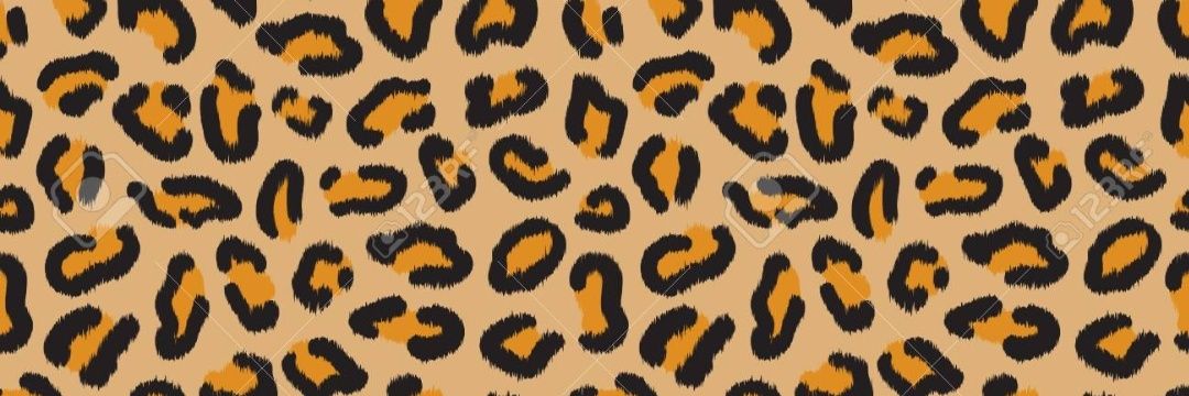 ✨️💙Baka Kitty💙✨️ banner