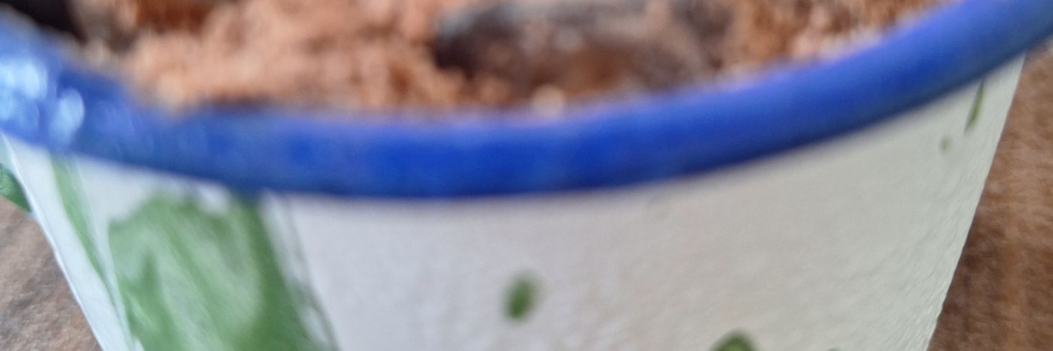 dedewnoppa's profile banner image