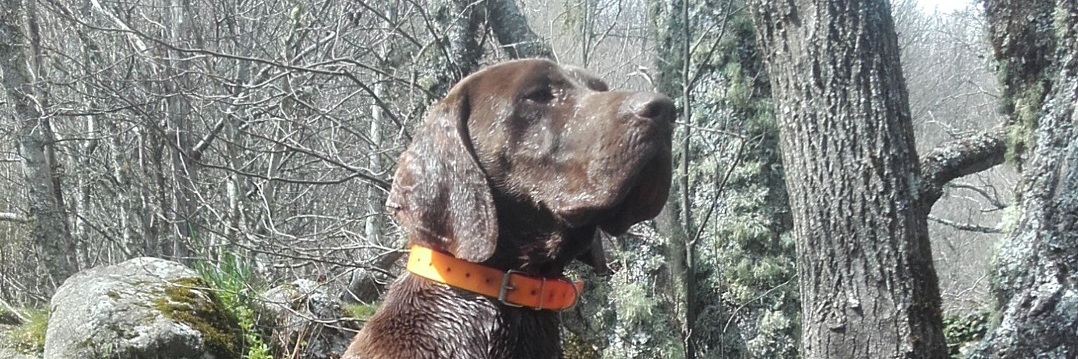 NicolasMonter17's profile banner image