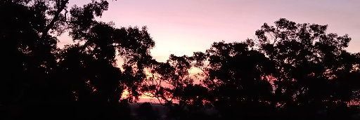 Jennifer  Maplesden banner