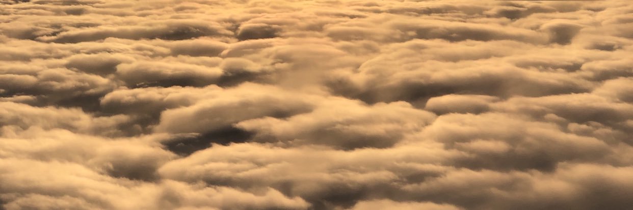 SASSHOLE🗣💨 banner