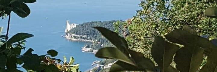 stefanoboch's profile banner image