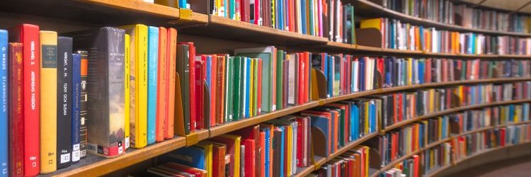 Literacy Lass 💗📚 banner