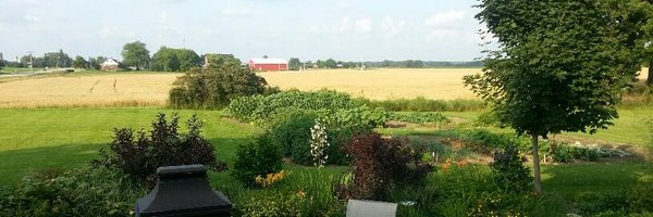 MarkC_289 Profile Banner