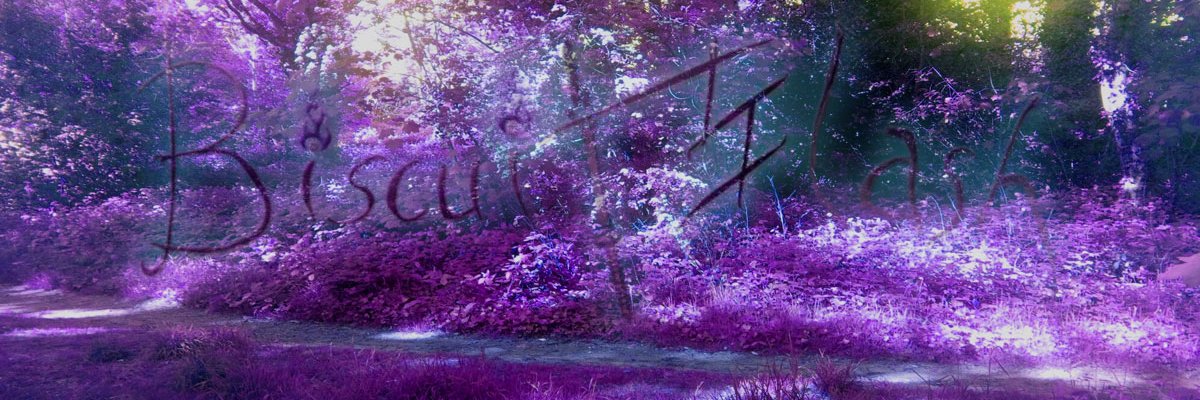 BiscuitSlash 🦊🍪🔥 banner