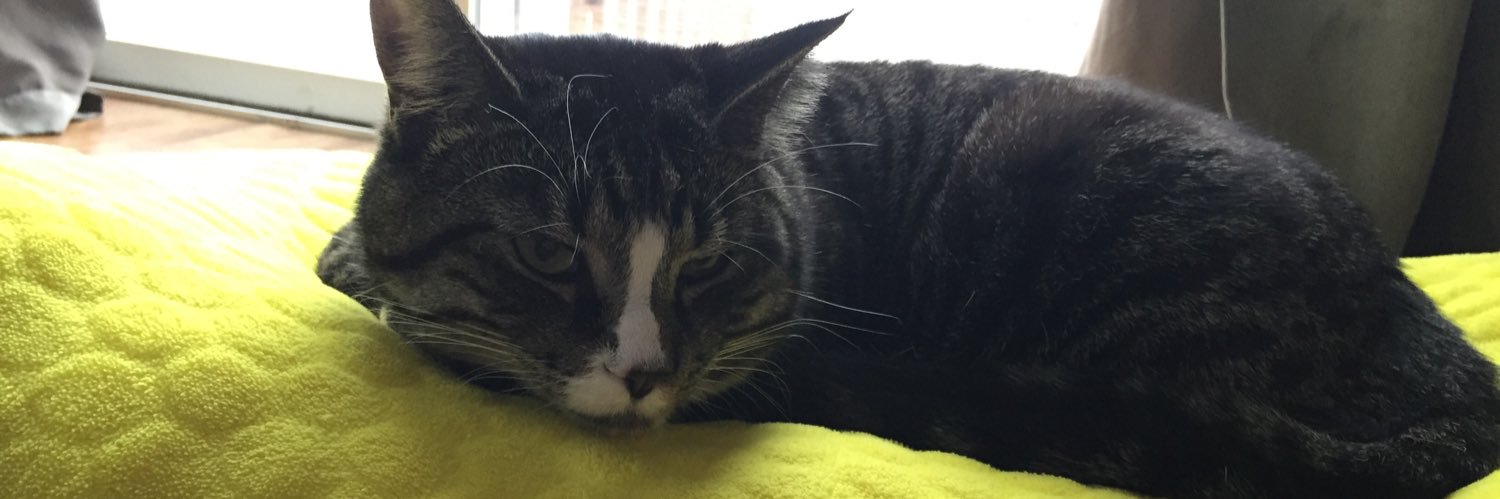 Jay Goldcorner banner