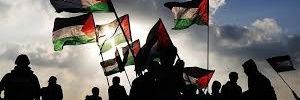 Alia_N_Muhammad's profile banner image