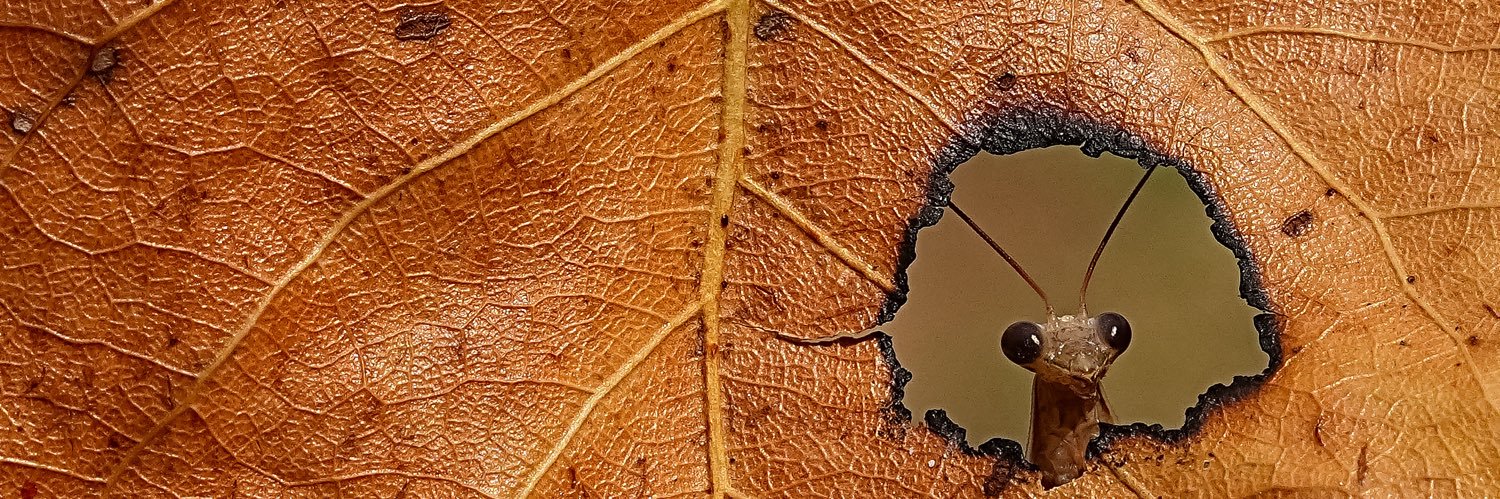 mstf5934's profile banner image
