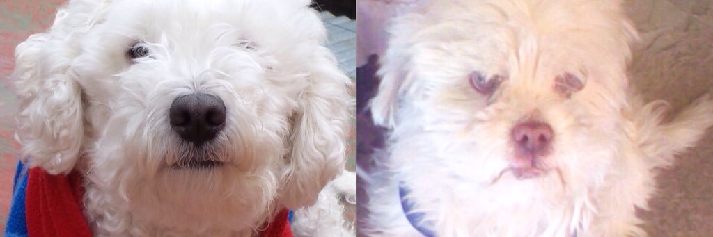 Gaby Hdz² banner