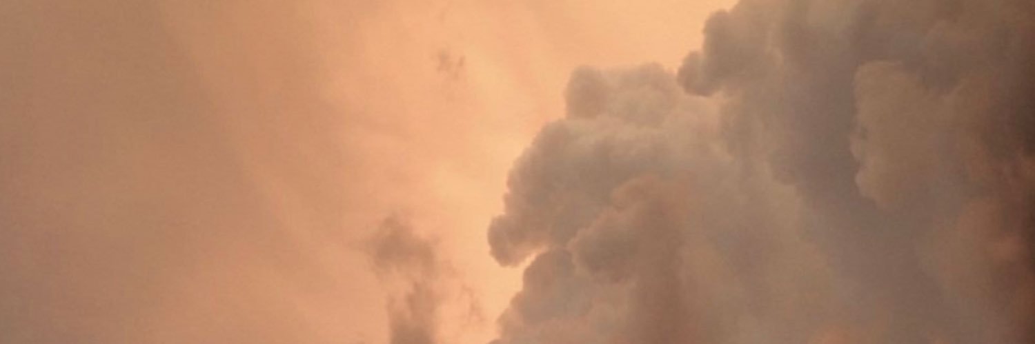 fortuneelephxnt's profile banner image