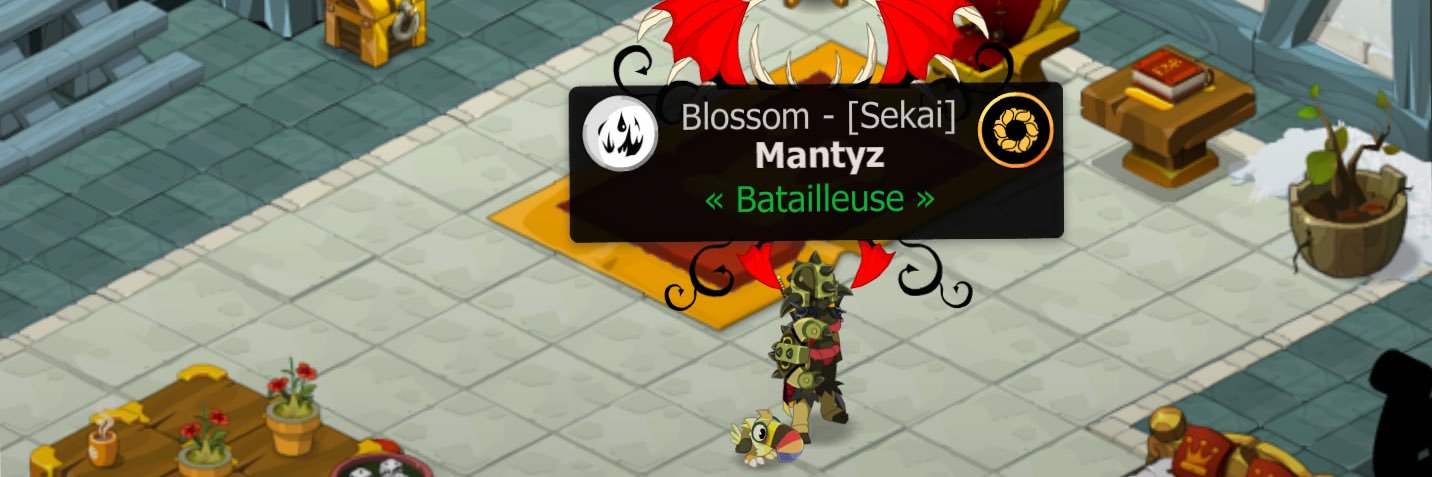 Maxime Mantyz banner
