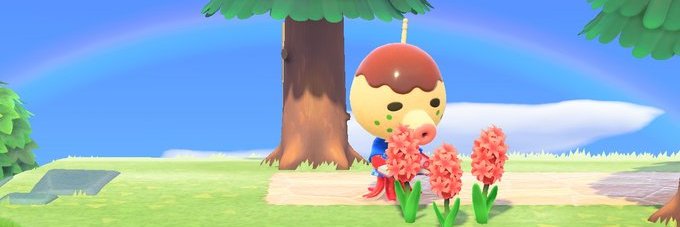 RRbeanie's profile banner image