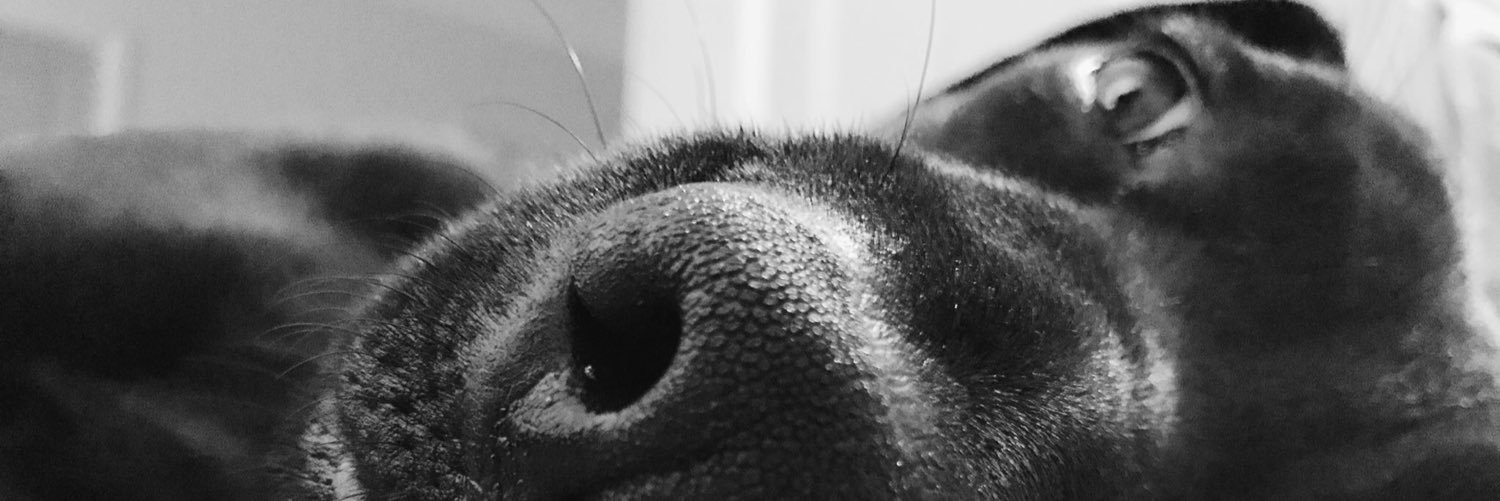 ImsorryMSJackso's profile banner image