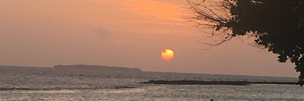 Nicooo_95's profile banner image