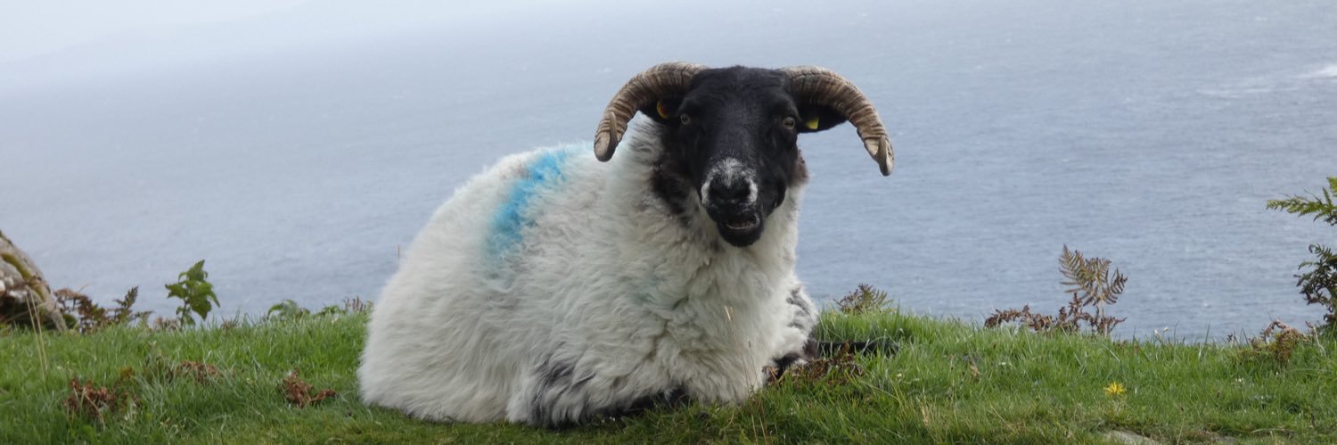 Thomas Mc Donagh banner