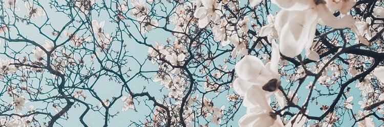 kaygraham95's profile banner image