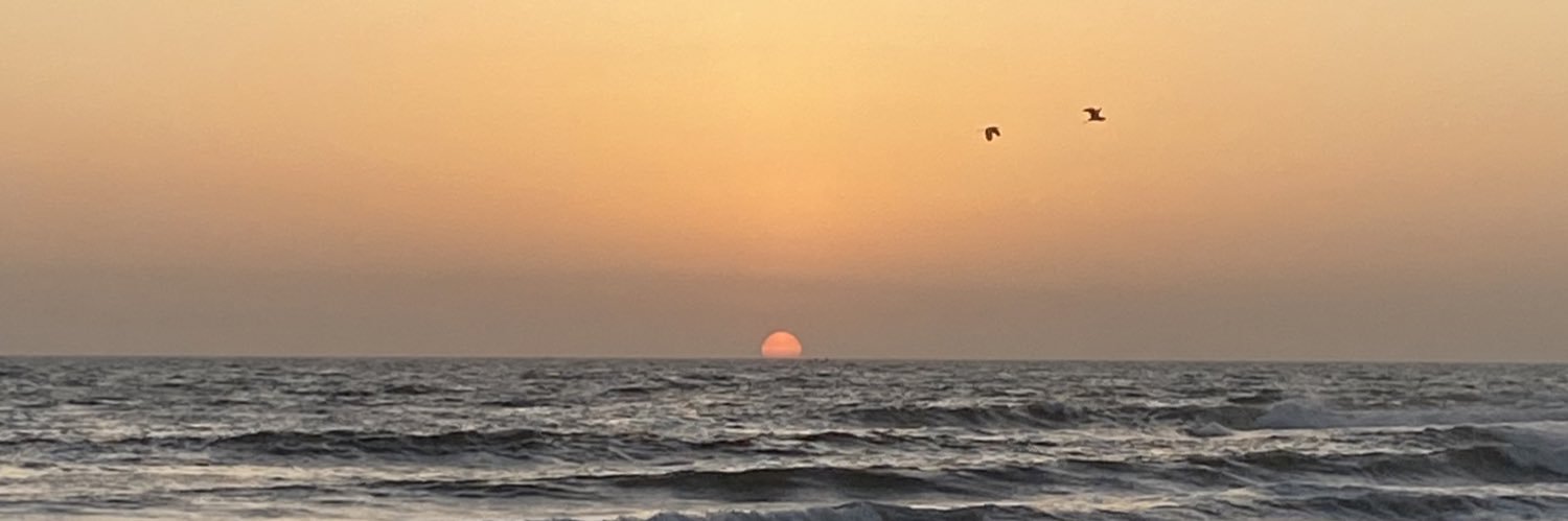Ineysoss's profile banner image