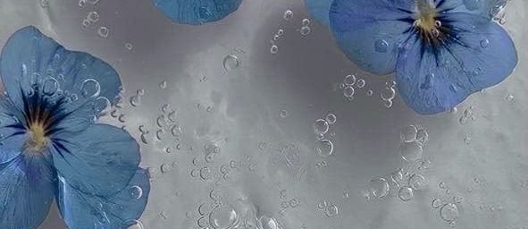 Bellamarin26's profile banner image
