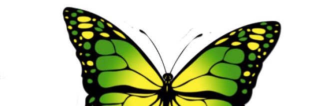 shannice__'s profile banner image