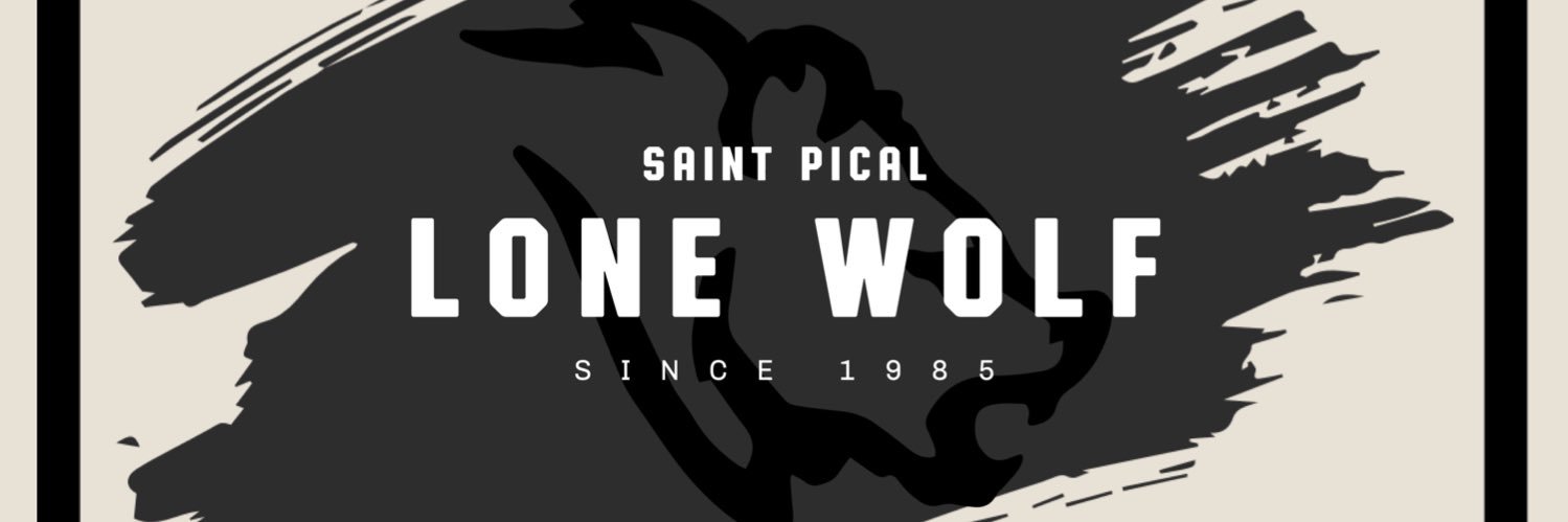 PICALUTION's profile banner image