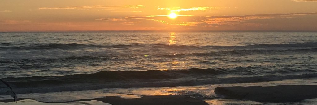 Hannah_Hauser's profile banner image