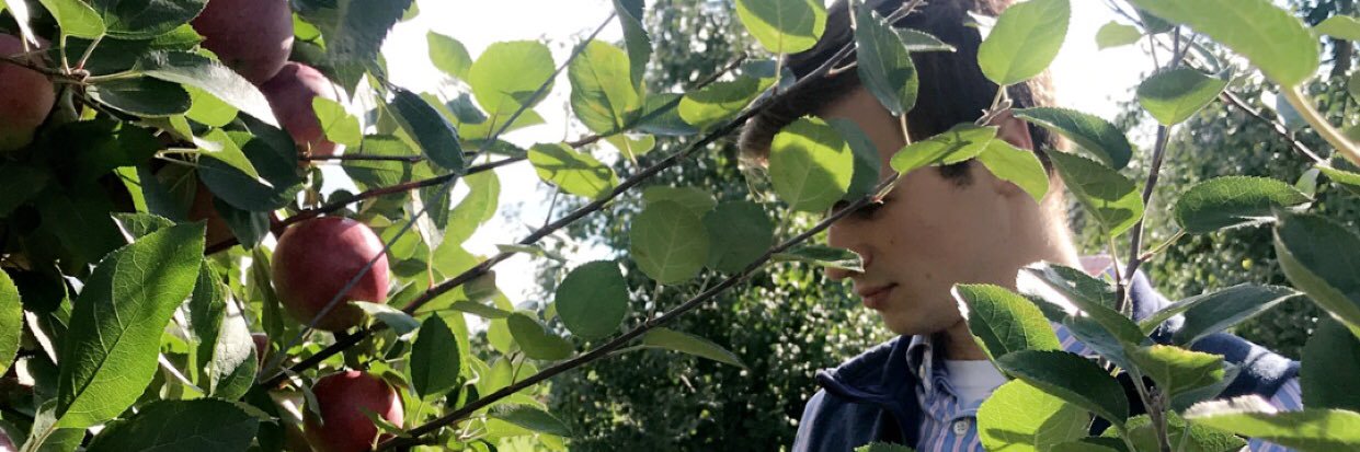 cam_stew02's profile banner image