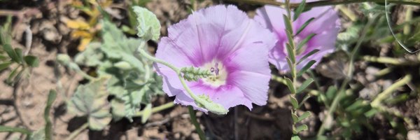 KOC_KADR1YE Profile Banner