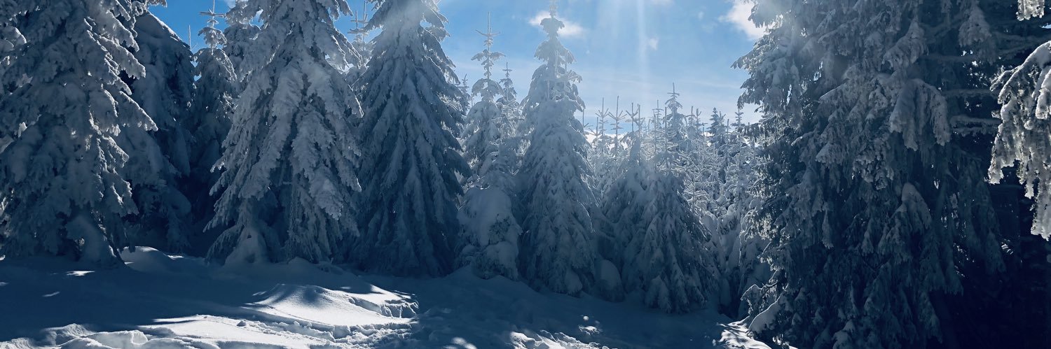 AnubisCC81's profile banner image