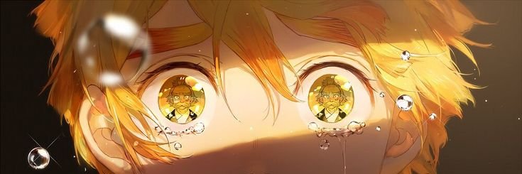 idamfox's profile banner image