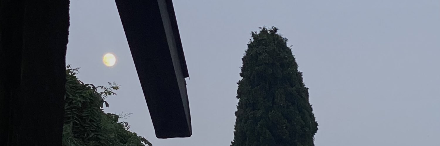 serena🌞 banner