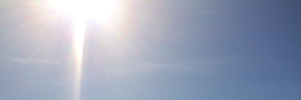 caitfournier Profile Banner