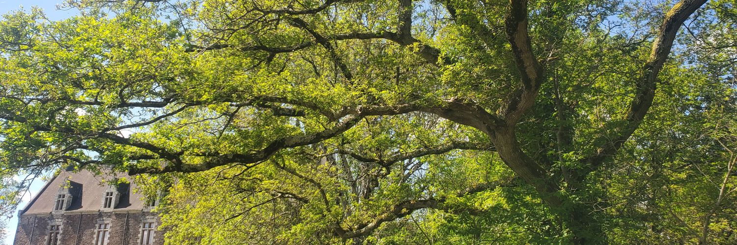 La Table d'Harmony banner