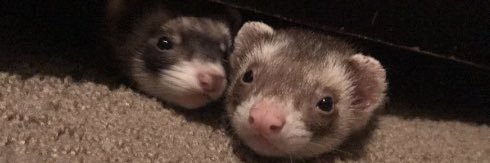 seffwa's profile banner image