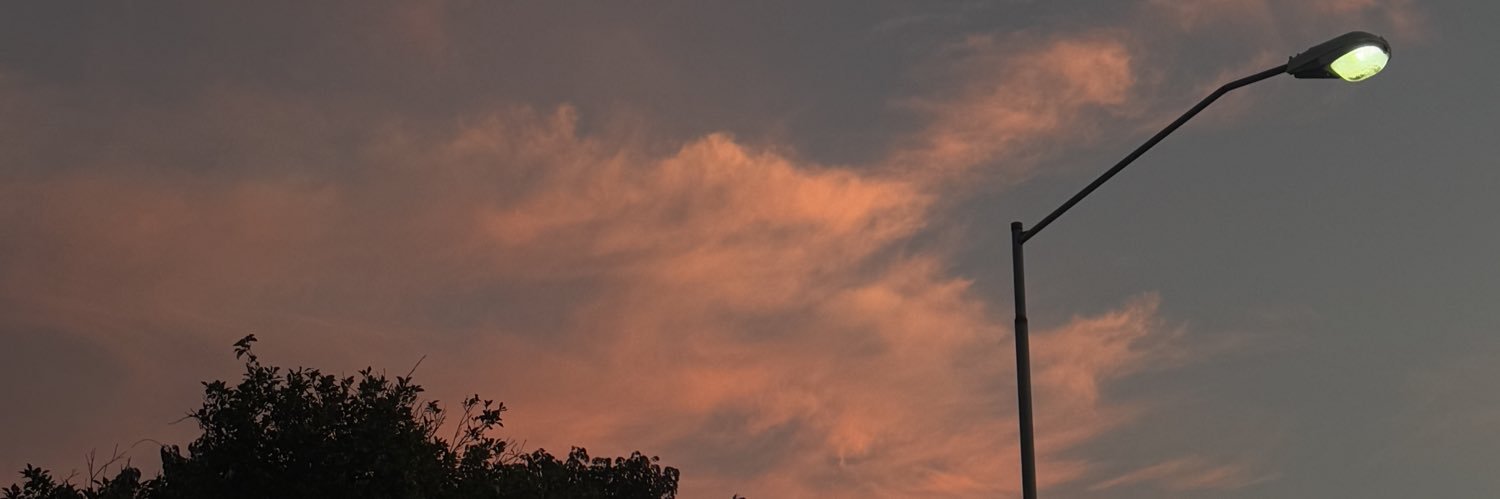 SharonMedinal's profile banner image